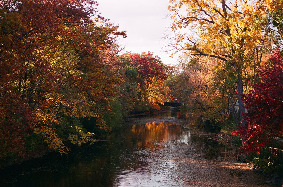 Lansing, MI