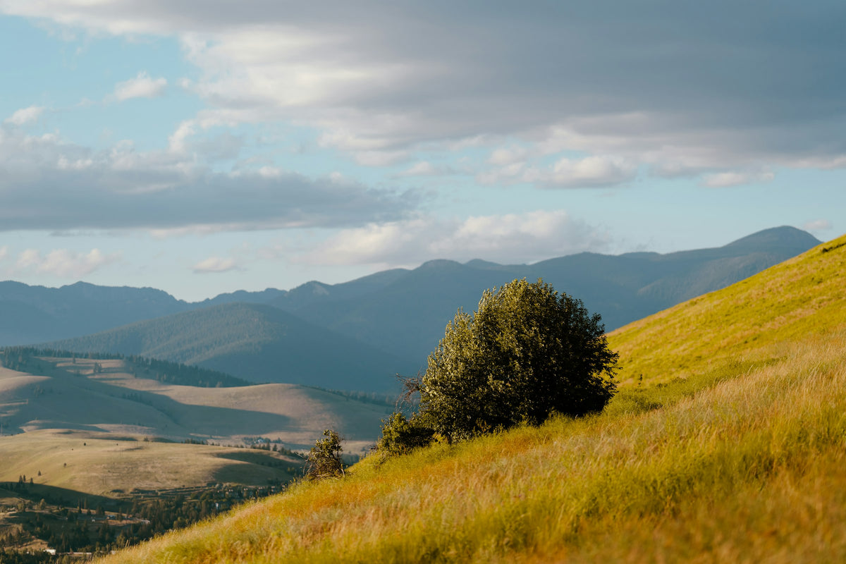 Missoula, MT