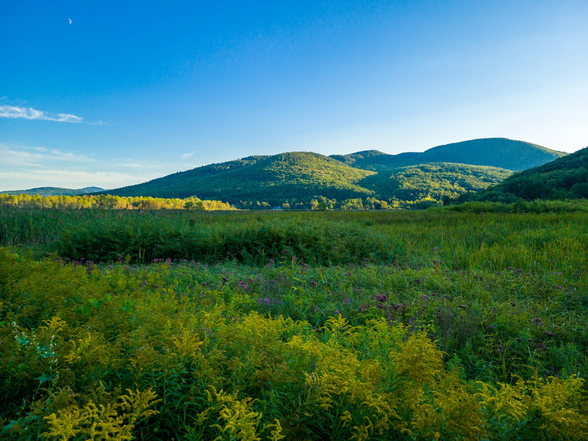 Rutland, VT