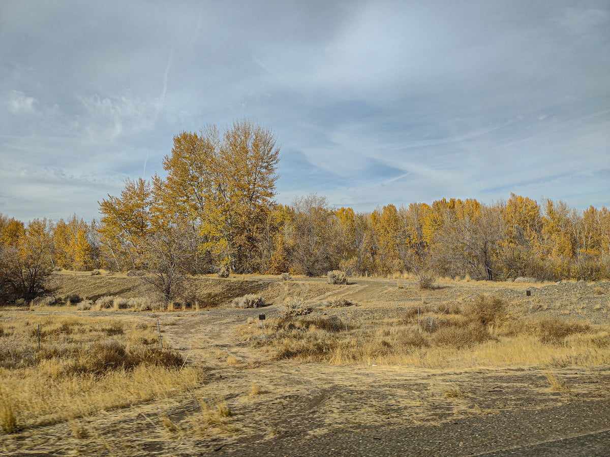 Yakima, WA