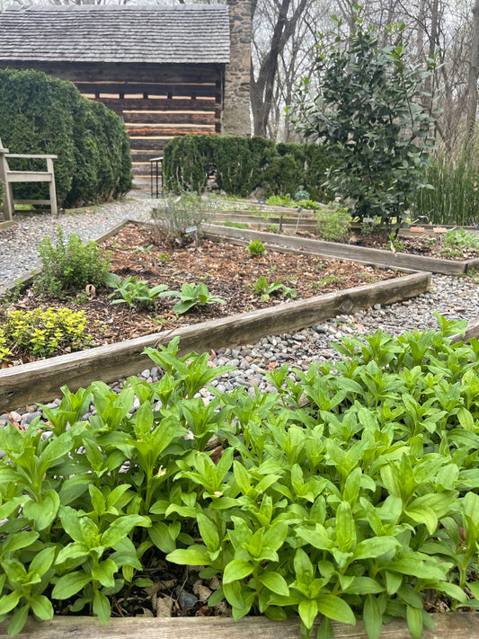 Fact Friday 340: Earth Day in the Garden - Powered by the Charlotte Museum of History