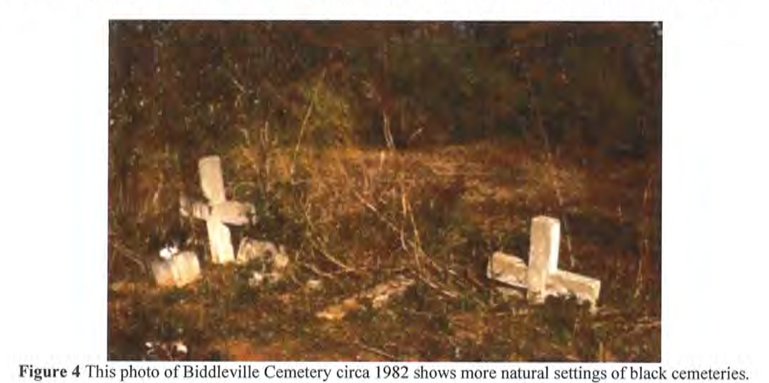 Fact Friday 361 - The Significance of Biddleville Cemetery - Part 4