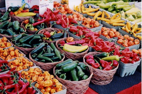 Charlotte Area Farmers Markets