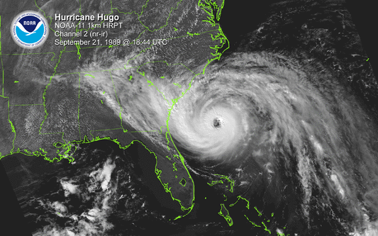 Fact Friday 165 - Florence vs. Hugo