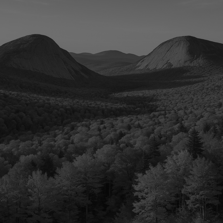 New Hampshire