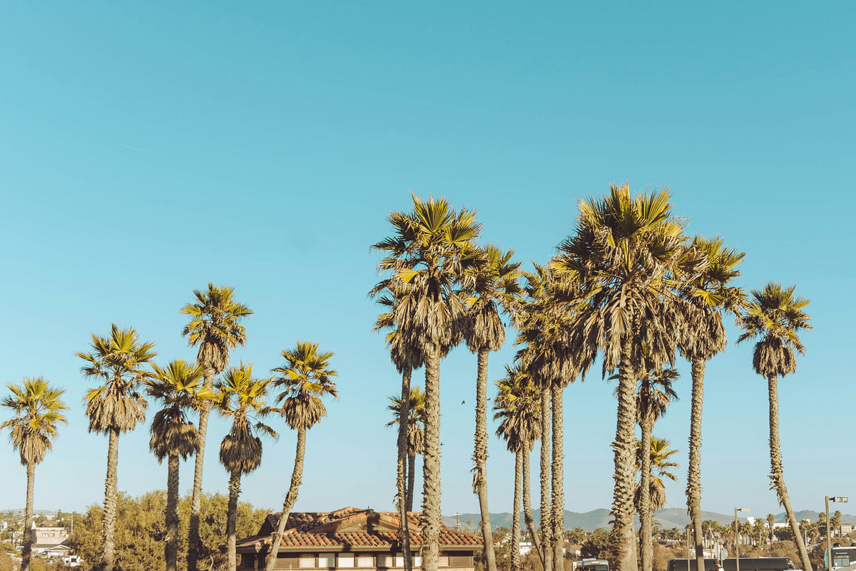 Santa Maria, CA