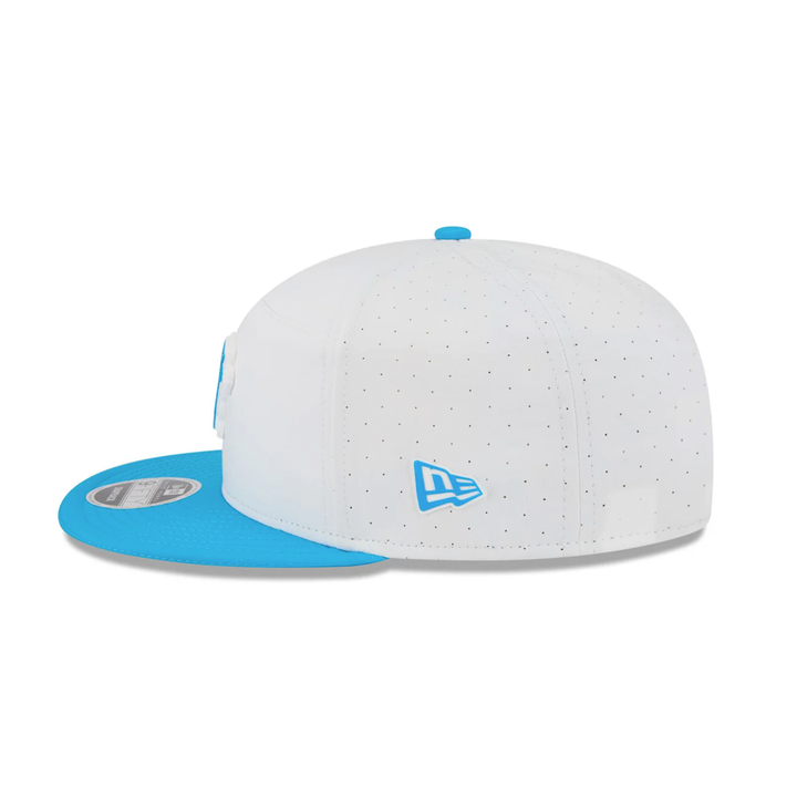 Carolina Panthers Snapback Hat