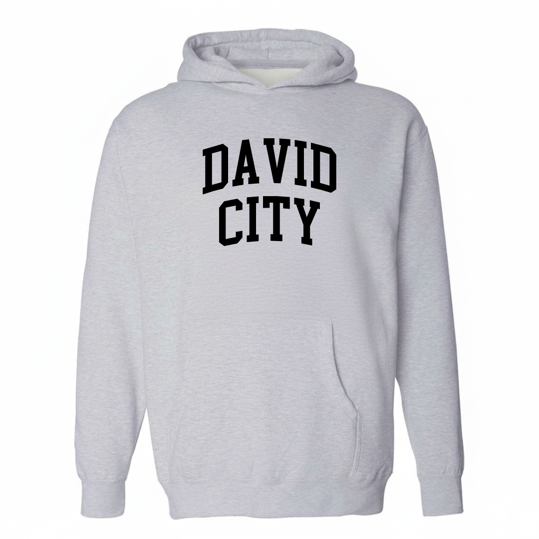 Heather-gray hoodie with the David City varsity arched lettering design on the chest.