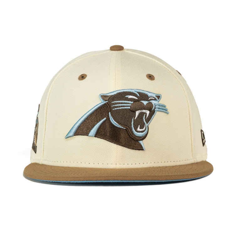 Fact Friday 34 - Road to the Super Bowl: The Carolina Panthers' Unforg –  704 Shop