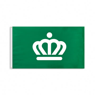 704 Shop Process™ x City of Charlotte Crown Flag - Green/White